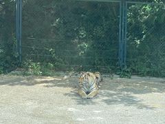 -大连森林动物园