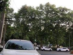 -大湾金牌万州烤鱼(沙河店)