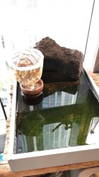 -周忆刺青原创设计定制