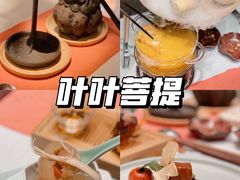 -叶叶菩提·晋福宫