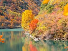 -叠溪松坪沟景区