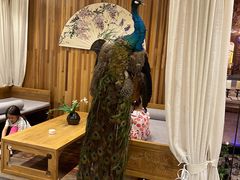 -小天厨民间菜馆(深圳街店)