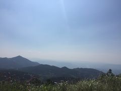 -武陵山森林公园