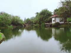 -四川大学(望江校区)