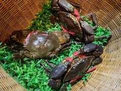 -尚竹阁冬瓜盅·18年地标美食(平洲店)