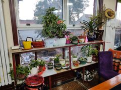 -北京龙庆四季香农家饭庄·灶台鱼·碳烤虹鳟鱼(龙庆峡店)