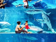 -华夏文旅海洋公园