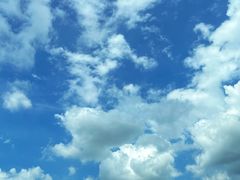 -台山美食一绝阿四台山黄鳝饭(阿四创作店)