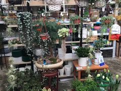 -秦美花卉(天朗·莱茵小城2期店)