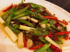 -叒缘夜光杯(望江橡树林店)