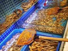 水产区-必点海鲜·鲅鱼水饺(鞍山西道店)