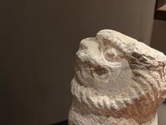 -觀芷隐轩