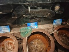 -上名堂·鱼头好吃(体育场路店)