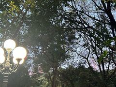 -荔枝公园(福田区)