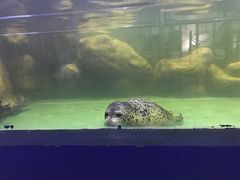 -重庆欢乐海底世界