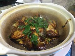 -石岐乳鸽村(南海第三分店)