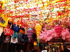 -吉祥圣雪藏餐