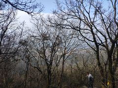 -杭州半山国家森林公园