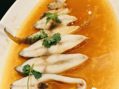 -骏莱海鲜鱼港(五角场店)