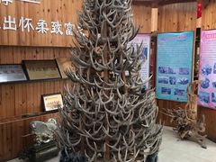 -北京鹿世界主题园