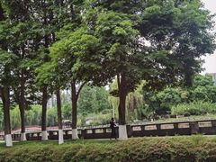-温江公园