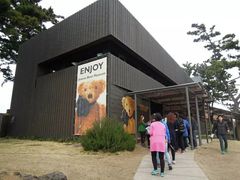 门面-济州岛泰迪熊博物馆