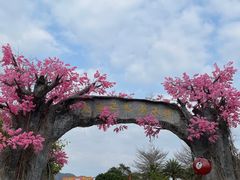 -天适樱花悠乐园