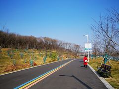-羊山湖公园