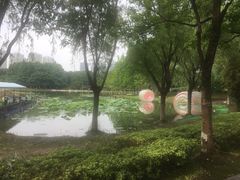 -白塘生态植物园