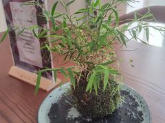 -花十悦·鲜花咖啡餐厅(振业城一期店)