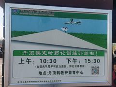 -盐城丹顶鹤湿地生态旅游区