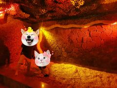 -碧中海汤泉汗蒸酒店