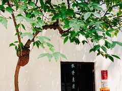 -南京民俗博物馆(甘熙故居)