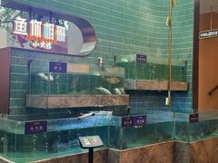 -鱼你相聚·河鲜馆(袁家岭店)