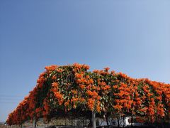 -中国移动南方基地