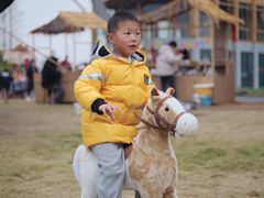 -中国天府农业博览园