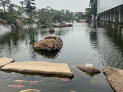 -罗红摄影艺术馆