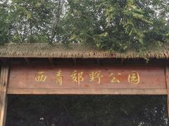 -西青郊野公园