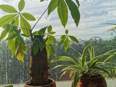 -渔公馆·川菜馆·家宴·生日宴(大地中央广场店)