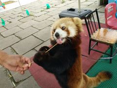 -北戴河集发农业梦想王国