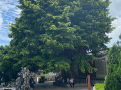 -佛山市祖庙博物馆