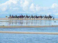 -青海湖国家重点风景名胜区