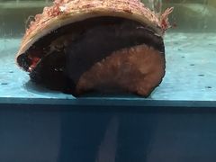 -阿伟海鲜楼·福建菜(延寿店)