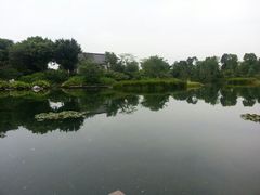 android_upload_pic-大湾区中央湿地公园