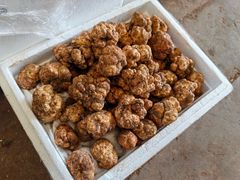 -云南木水花野生菌交易中心