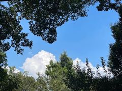 -笑来喜馄饨小笼工坊(通扬路店)