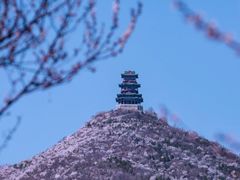 -定都阁