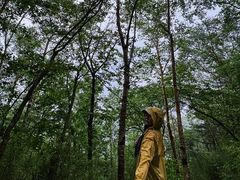 -洛阳白云山景区