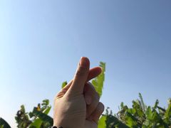 -东莞植物园