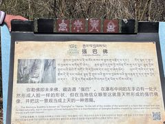 -卡定沟景区